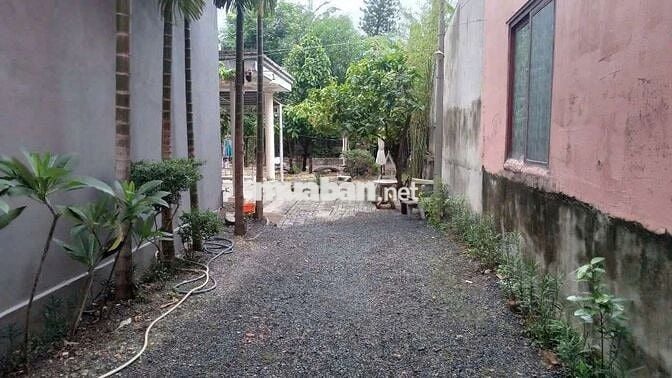 Bán 2 lô Đất 1/Hà Huy Giáp- phường Thạnh Xuân Q12 -thổ cư 400m2