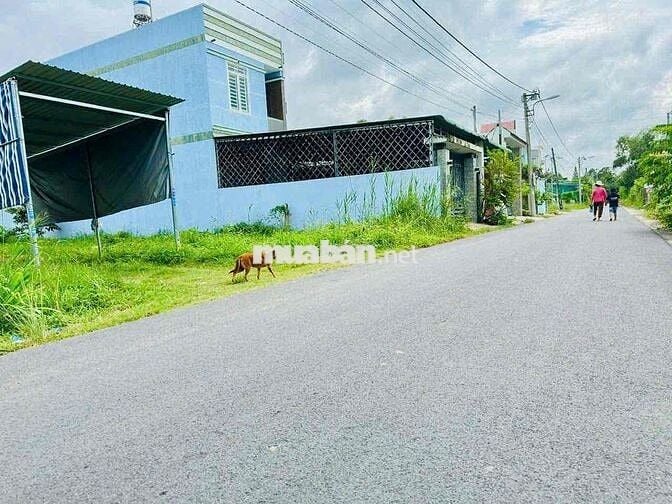 ĐẤT MẶT TIỀN DX 088 PHƯỜNG HIỆP AN TP THỦ DẦU MỘT NHỰA THÔNG