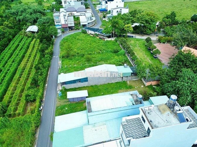 ĐẤT MẶT TIỀN DX 088 PHƯỜNG HIỆP AN TP THỦ DẦU MỘT NHỰA THÔNG