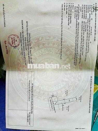 ĐẤT MẶT TIỀN DX 088 PHƯỜNG HIỆP AN TP THỦ DẦU MỘT NHỰA THÔNG