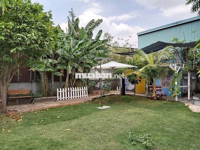 Bán 2 lô Đất 1/Hà Huy Giáp- phường Thạnh Xuân Q12 -thổ cư 400m2