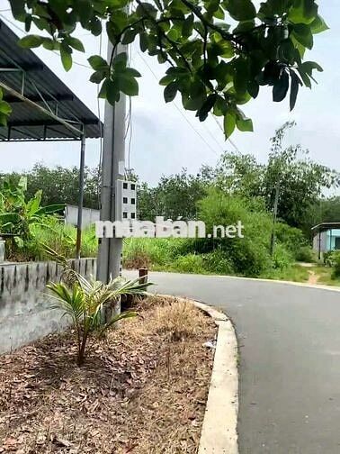 Đất Bình Dương 200m2, giá chỉ 579tr