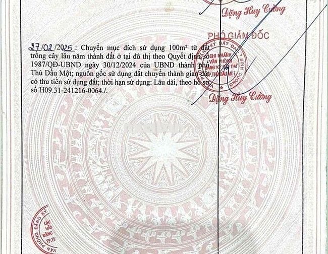 ĐẤT HIỆP THÀNH BÌNH DƯƠNG CŨ. SÁT BỆNH VIỆN 512.ĐƯỜNG 5M THÔNG i HÌNH