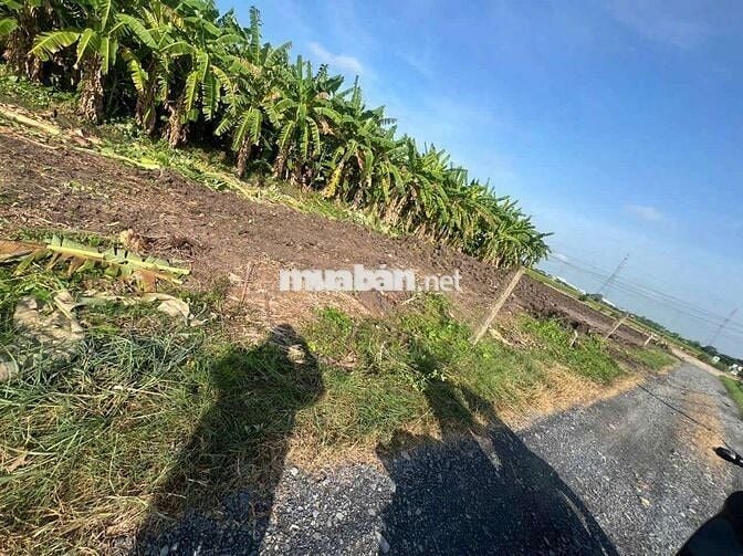 Đất thổ cư dt 110m 5x20m giá 420tr mỹ thạnh Tân trụ long an