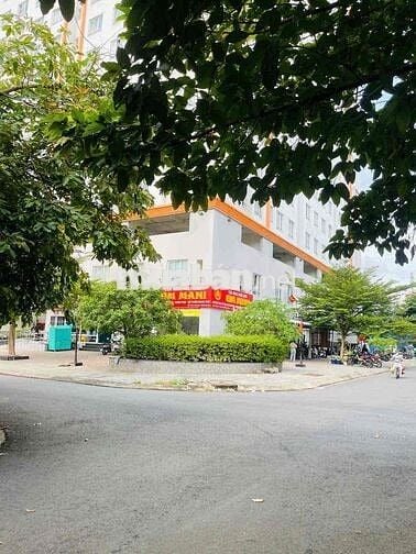 Cho thuê Shophouse Chung cư bông sao 2 mt
