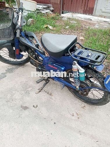 Cúp nhật độ