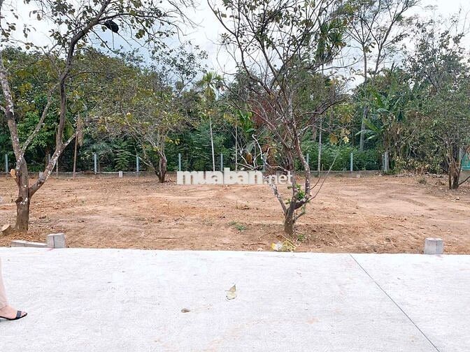 Đất sổ đỏ 82,1m2 đường Nguyễn Đăng Thịnh, Phường Kim Long, TP.Huế