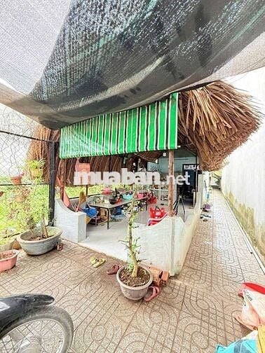 Bán đất tặng nhà cấp 4 – Gần KDC Tứ Hải, Tân Đông Hiệp, chỉ 2,85 tỷ