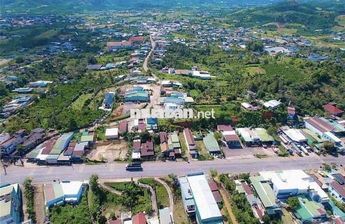 Bể nợ bán lỗ gấp lại nhà vườn 595m2 giá 799tr ngay khu đông dân cư
