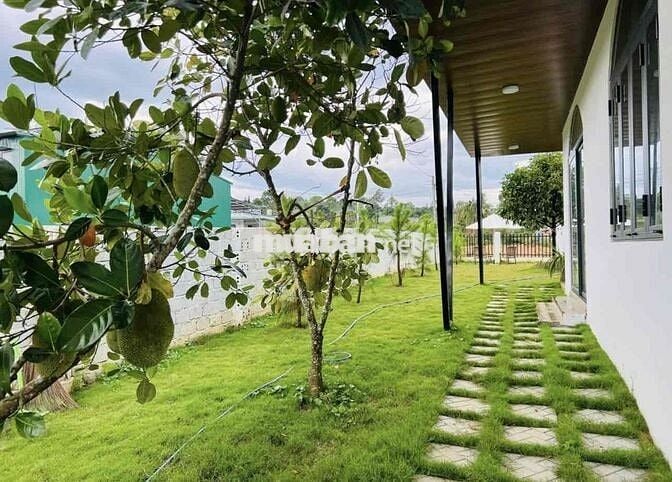 Bể nợ bán lỗ gấp lại nhà vườn 595m2 giá 799tr ngay khu đông dân cư