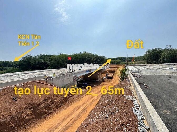 BÁN GẤP ĐẤT SÀO TÂN HÒA,ĐỒNG PHÚ CÁCH TUYẾN SỐ 2 CHỈ 300M GIÁ 325TR