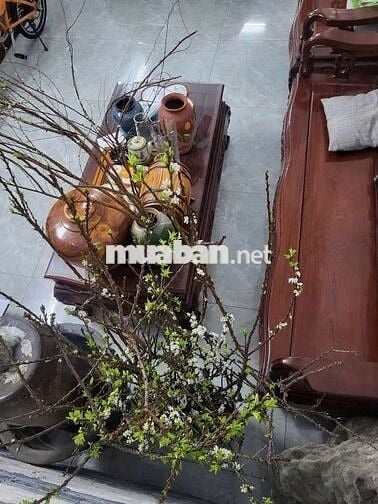 Mặt tiền Tân Thới Nhất 17 kinh doanh cực đỉnh