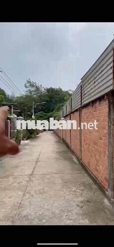 Cần Tiền bán gấp lô đất 250m2 full thổ cư