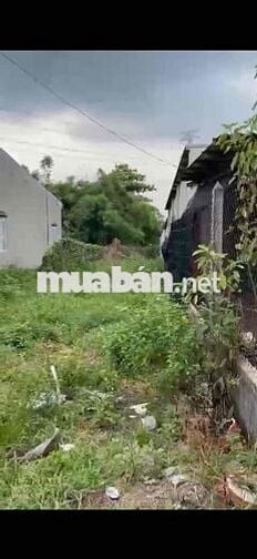Cần Tiền bán gấp lô đất 250m2 full thổ cư
