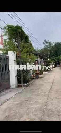 Cần Tiền bán gấp lô đất 250m2 full thổ cư