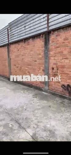 Cần Tiền bán gấp lô đất 250m2 full thổ cư