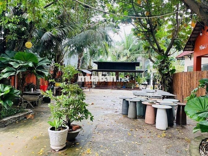 MB SÂN VƯỜN 800M2 ĐÃ SET UP ĐẸP SẴN MT 15M GẦN VX HT3,KDC PHÚC ĐẠT