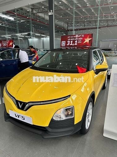 VinFast VF5 Plus 2025 505TR - Đưa Trước 97TR