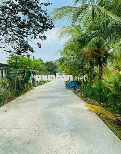 nền thổ cư rộng 365 m2 đường đal 4m oto đi