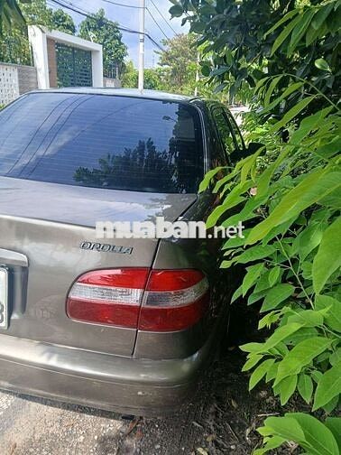 Toyota năm chỗ sản xuất năm