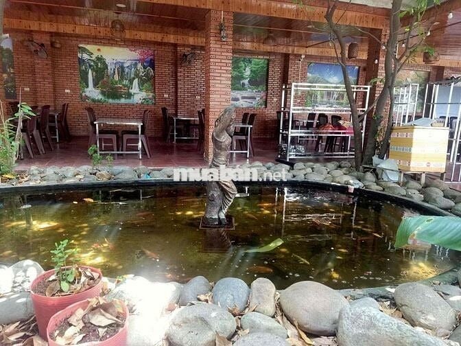 sang nhà hàng hơn 500m2, đầy đủ vào kinh doanh ngay giá rẻ