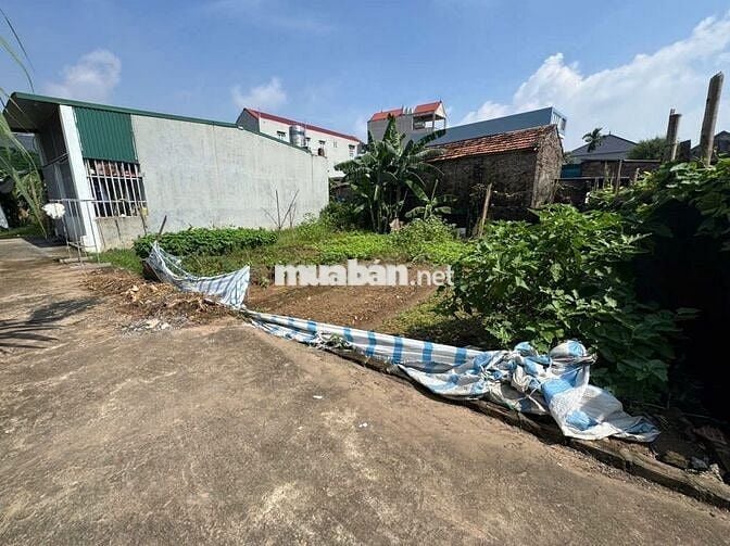 Bán 50m đất Tráng Việt, Mê Linh. Ô tô đỗ đất