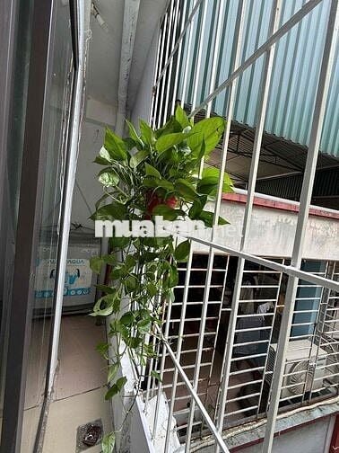 Bán CCMN Tầng trung thoáng đẹp - Bùi Xương Trạch, Thanh Xuân