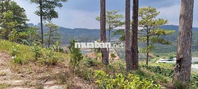 Đất nghỉ dưỡng Xuân Trường Đalat
