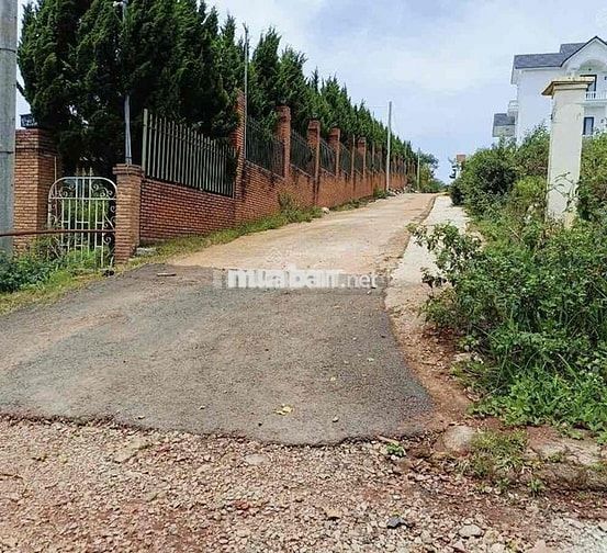 Chính Chủ Bán Măng Lin Phường 7 Đà Lạt View Đồi Thông, Thung Lủng  Đep