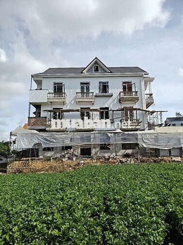 Cần bán đất nông nghiệp 2 mặt tiền