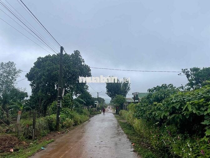 đất hẻm 1024 trường chinh cần bán