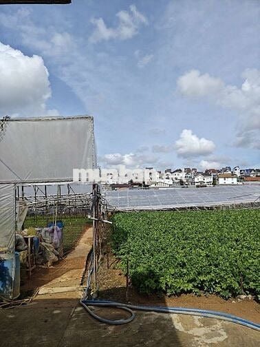 Cần bán đất nông nghiệp 2 mặt tiền