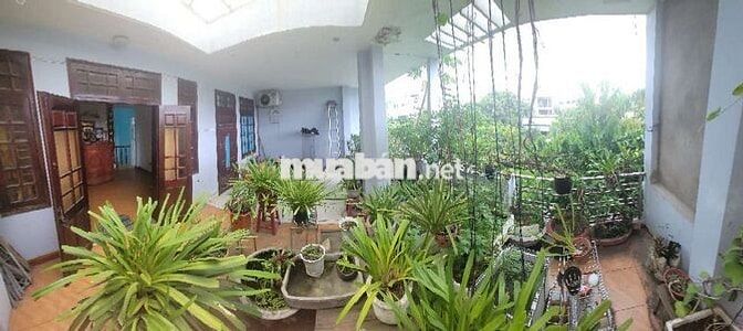 Chính chủ cần bán nhà 3 tầng 101m², ngang 7m mặt đường Nguyễn Công Trứ