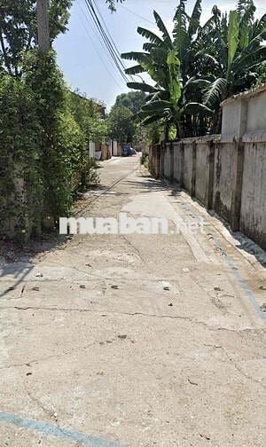 Bán Đất Sổ Hồng 84m2 Tùng Thiệ