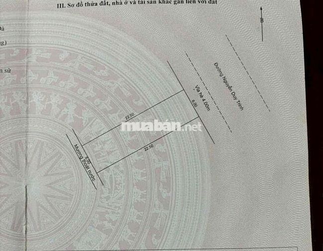 Bán đất Nguyễn Duy Trinh 135m2, ngang 6m
