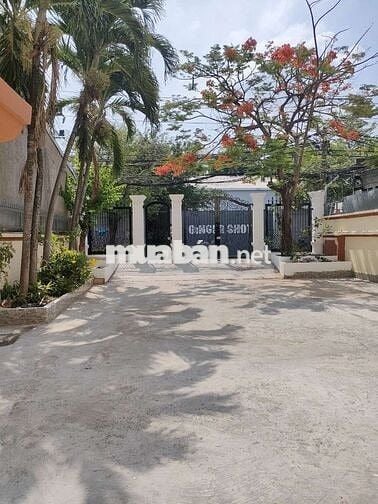 Bán biệt thự diện tích đất hơn 300m2, 7 phòng ngủ