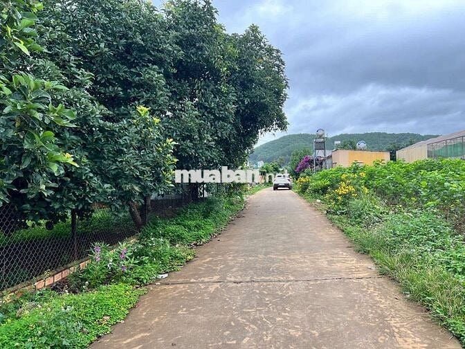 Bán lô đất cách hồ Từ Liêm 100m tại xã Nam Ban, Lâm Đồng