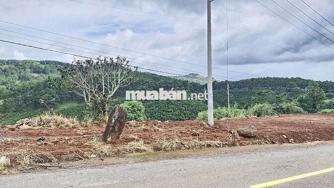 6 Lô mặt tiền đường nhựa liên xã tại Đinh Văn, Lâm Hà, LĐ