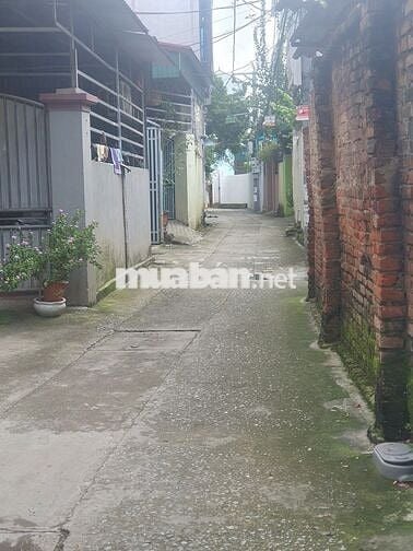 🏡 BÁN ĐẤT VIÊN NGOẠI – 60M², MẶT TIỀN 5M, GIÁ 3,7 TỶ 📐