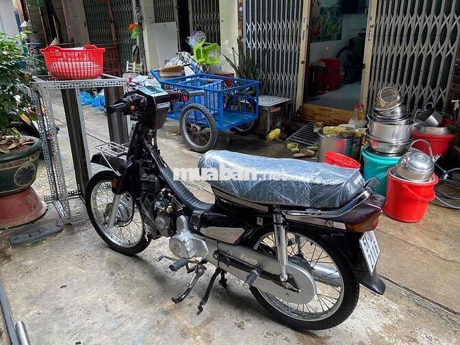 Dream thái dọn new