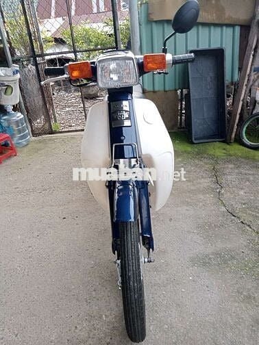 Honda cúp 50cc biển số sài gòn