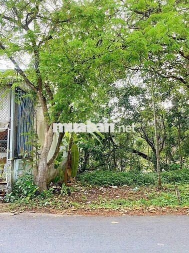 Bán nền mặt tiền đường đinh công chánh giá dưới 1,5 tỷ