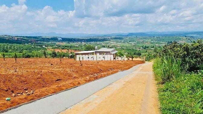 2 Lô đất 1000m2 đẹp chuẩn nghỉ dưỡng tại Lâm Hà ven Đà Lạt có sổ hồng