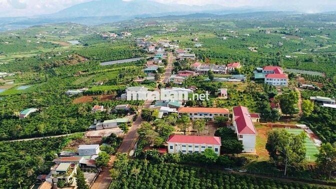 2 Lô đất 1000m2 đẹp chuẩn nghỉ dưỡng tại Lâm Hà ven Đà Lạt có sổ hồng