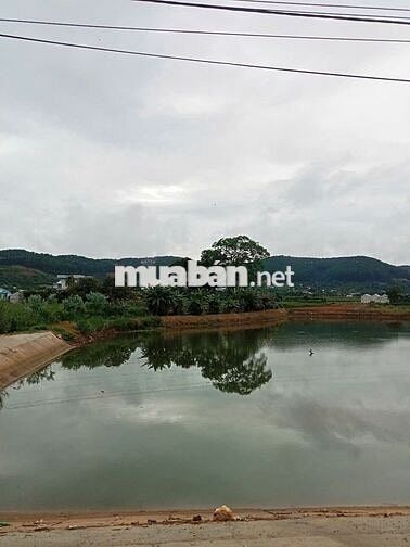 TÔI CẦN BÁN GẤP – LÔ ĐẤT MT DT725 – VIEW HỒ MÊ LINH - ĐÀ LẠT