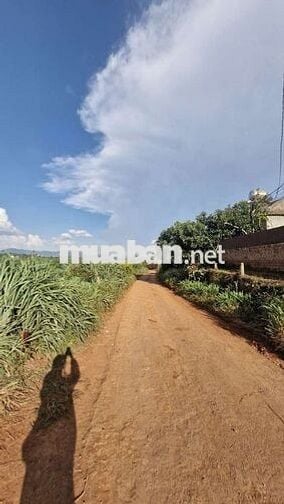 Bán đất mặt tiền bê tông Hoàn Kiếm 2, Nam Hà, Lâm Hà, LĐ