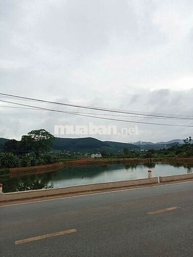 TÔI CẦN BÁN GẤP – LÔ ĐẤT MT DT725 – VIEW HỒ MÊ LINH - ĐÀ LẠT