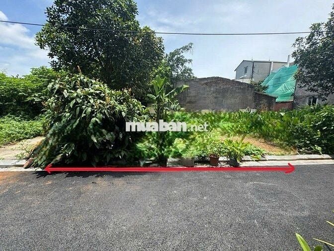 LÔ GÓC 40m² 3MẶT THOÁNG, VUÔNG ĐẸP, GIÁ HỜI.