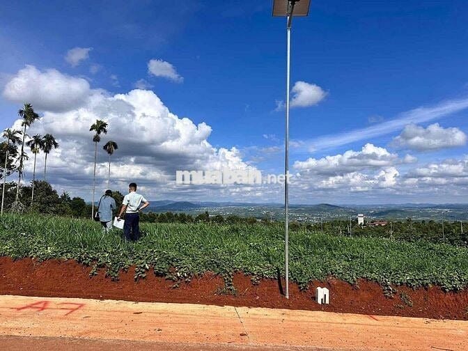BÁN ĐẤT VIEW ĐẸP DỐC 800 CHỈ 600 TRIỆU