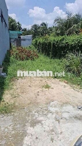 🔥 Bán đất Bình Nhâm 23 – 91,8m² thổ cư – Giá chỉ 2,5 tỷ!